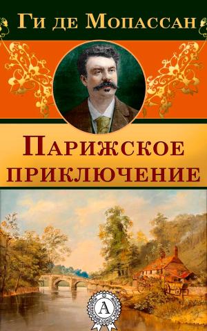 Book cover of Парижское приключение
