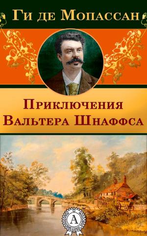 Book cover of Приключения Вальтера Шнаффса