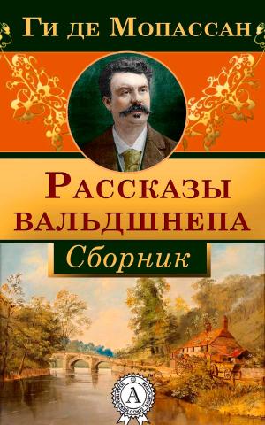 Cover of the book Рассказы вальдшнепа by Илья Ильф, Евгений Петров
