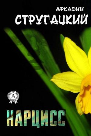 Cover of the book Нарцисс by Александр Николаевич Островский