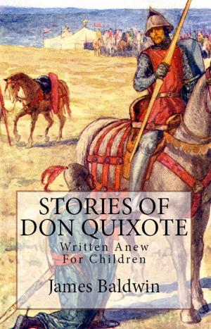 Cover of the book Stories of Don Quixote by Augustus Henry Lane-Fox Pitt Rivers