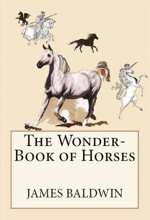 Book cover of The Wonder-Book of Horses