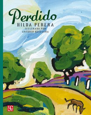 Cover of the book Perdido by Francisco Hinojosa