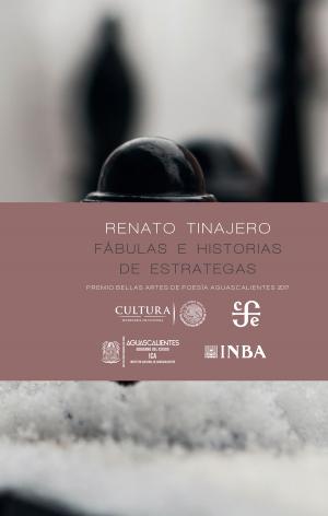Cover of the book Fábulas e historias de estrategas by Gregorio Martínez