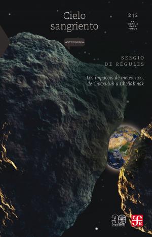 Cover of the book Cielo sangriento by Alfonso Reyes