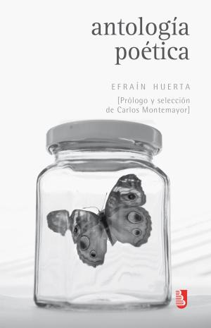 Cover of the book Antología poética by Luc Delannoy