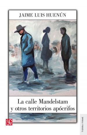 Cover of the book La calle Mandelstam y otros territorios apócrifos by Francisco Hinojosa