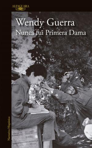 Cover of the book Nunca fui primera dama by Jandy Nelson