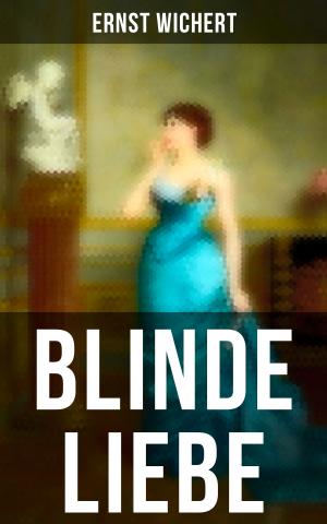 Book cover of Blinde Liebe