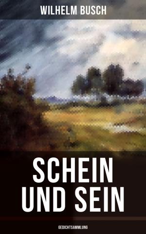 bigCover of the book Schein und Sein (Gedichtsammlung) by 