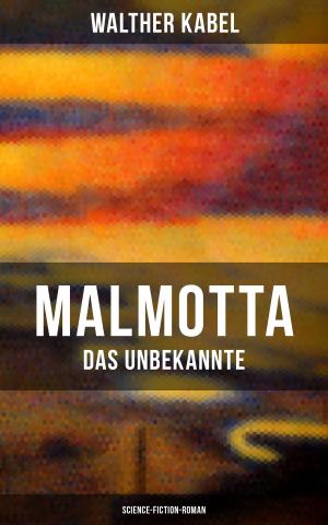 Cover of the book Malmotta - Das Unbekannte (Science-Fiction-Roman) by Achim von Arnim