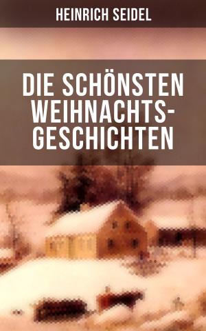Book cover of Die schönsten Weihnachtsgeschichten von Heinrich Seidel