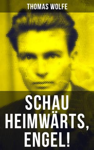 Book cover of Schau heimwärts, Engel!