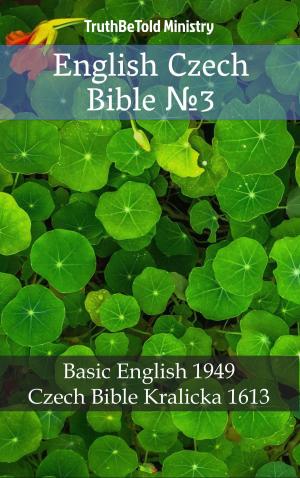 bigCover of the book English Czech Bible №3 by 