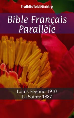 Cover of the book Bible Français Français by Nikita Storm