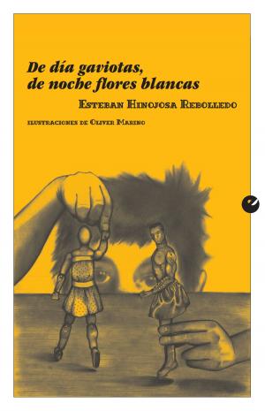 Cover of the book De día gaviotas, de noche flores blancas by Víctor San Juan