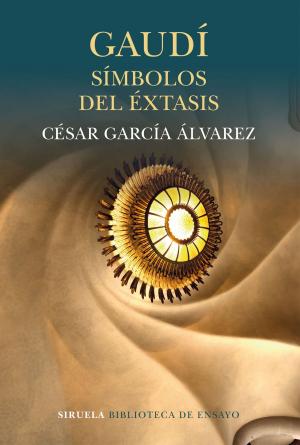 Cover of the book Gaudí. Símbolos del éxtasis by David Le Breton