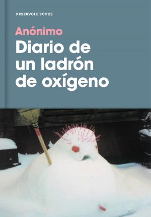 Cover of the book Diario de un ladrón de oxígeno by Shannon Kirk