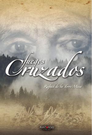 Cover of the book FUEGOS CRUZADOS by Luis Álvarez Fernández