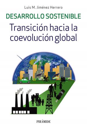 Cover of the book Desarrollo sostenible by Pedro Bermejo, Luis García