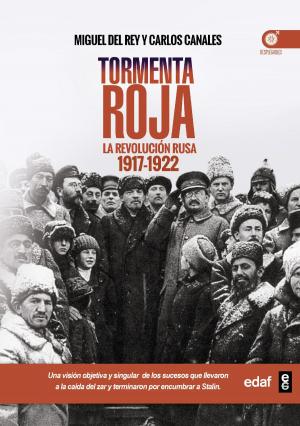 Cover of the book Tormenta roja by Carlos Canales, Miguel del Rey