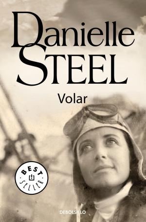 Cover of the book Volar by Javier Castillo