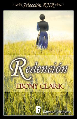 Cover of the book Redención by Brandon Sanderson