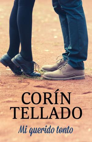 Cover of the book Mi querido tonto by Moruena Estríngana