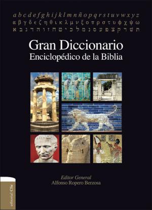 Cover of the book Gran Diccionario enciclopédico de la Biblia by Murray J. Harris