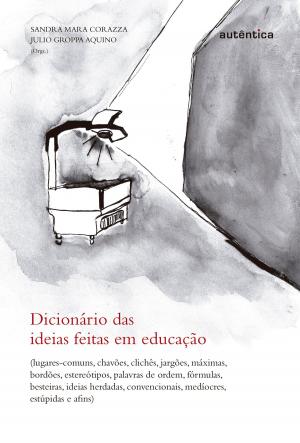 Cover of the book Dicionário das ideias feitas em educação by Luciana Chaui-Berlinck