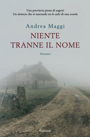 Cover of the book Niente tranne il nome by Antonella Frontani