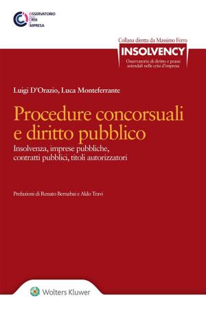 Cover of the book Procedure concorsuali e diritto pubblico by Antonino Borghi, Piero Criso, Giuseppe Farneti (a cura di)