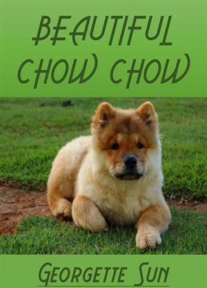 Book cover of Beautiful Chow Chow