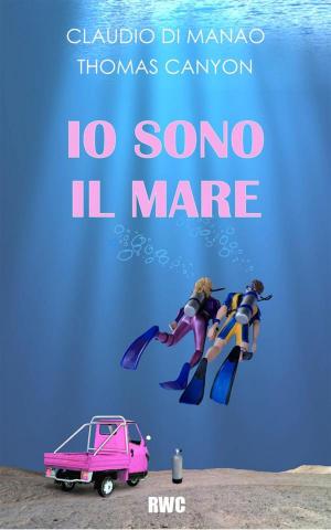 Cover of the book Io sono il mare by Idan Hadari
