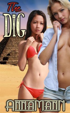 Cover of the book The Dig by John Lord
