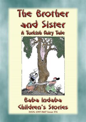 Book cover of THE BROTHER AND SISTER - A Turkish Children’s Fairy Tale