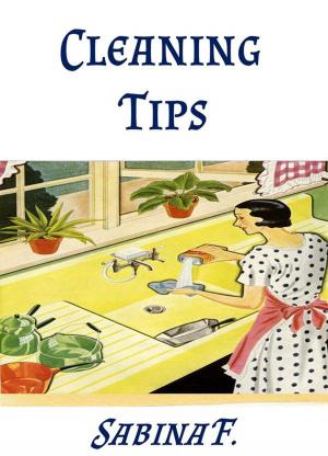 Book cover of Cleaning Tips