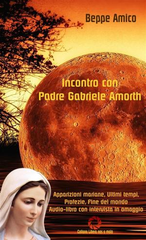 Book cover of Incontro con Padre Gabriele Amorth - Apparizioni mariane, ultimi tempi, profezie, fine del mondo