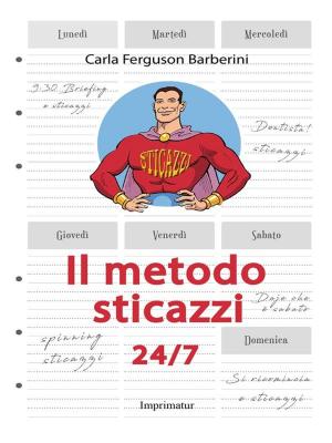 Book cover of Il metodo sticazzi 24/7