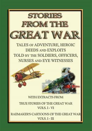 Cover of the book TRUE STORIES from the GREAT WAR - Soldiers Stories and Observations during WWI by Elizabeth Gordon, Illustrated by M.T. Ross