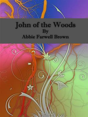 Cover of the book John of the Woods by Gene DeWeese