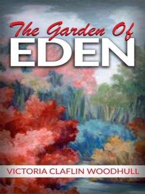 Cover of the book The garden of Eden or, the Paradise lost and found by Barry B Scherr, Jonathan Lipman