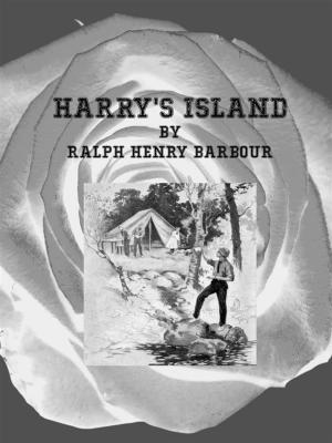Cover of the book Harry's Island by Richard Schwarz
