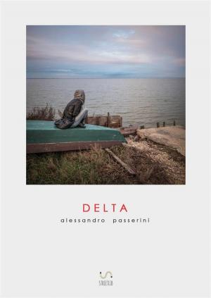 Cover of the book Delta by Anastasia Volnaya