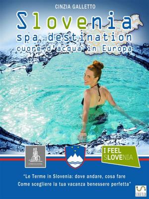 Cover of Slovenia Spa Destination