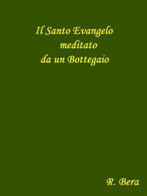 bigCover of the book Il Santo Evangelo meditato da un Bottegaio by 