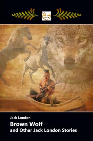 bigCover of the book BROWN WOLF and Other Jack London Stories by 