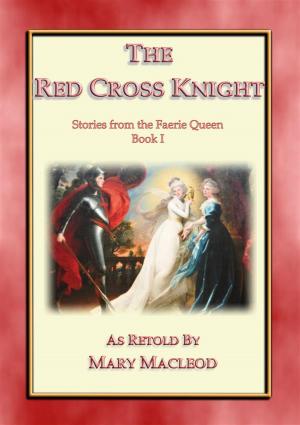 Book cover of The Red Cross Knight - Stories from the Faerie Queene Book I