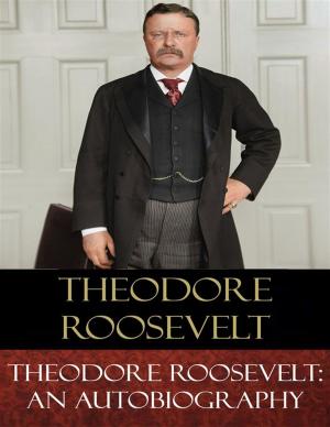 Cover of the book Theodore Roosevelt by Nathaniel Hawthorne