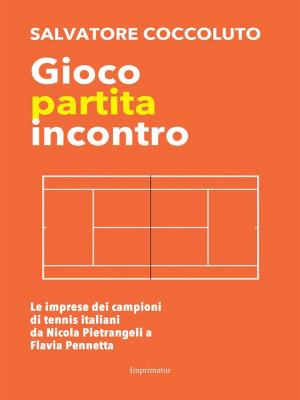 Cover of the book Gioco partita incontro by Federico Mello